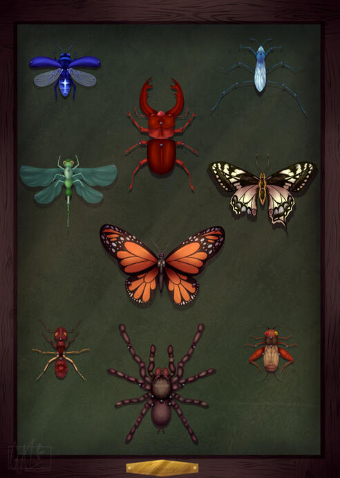 Insects (Digital, 2025)